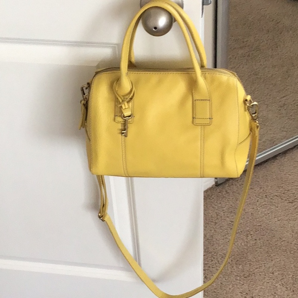 Fossil Bag